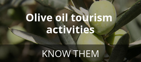 Olive oil tourism activities