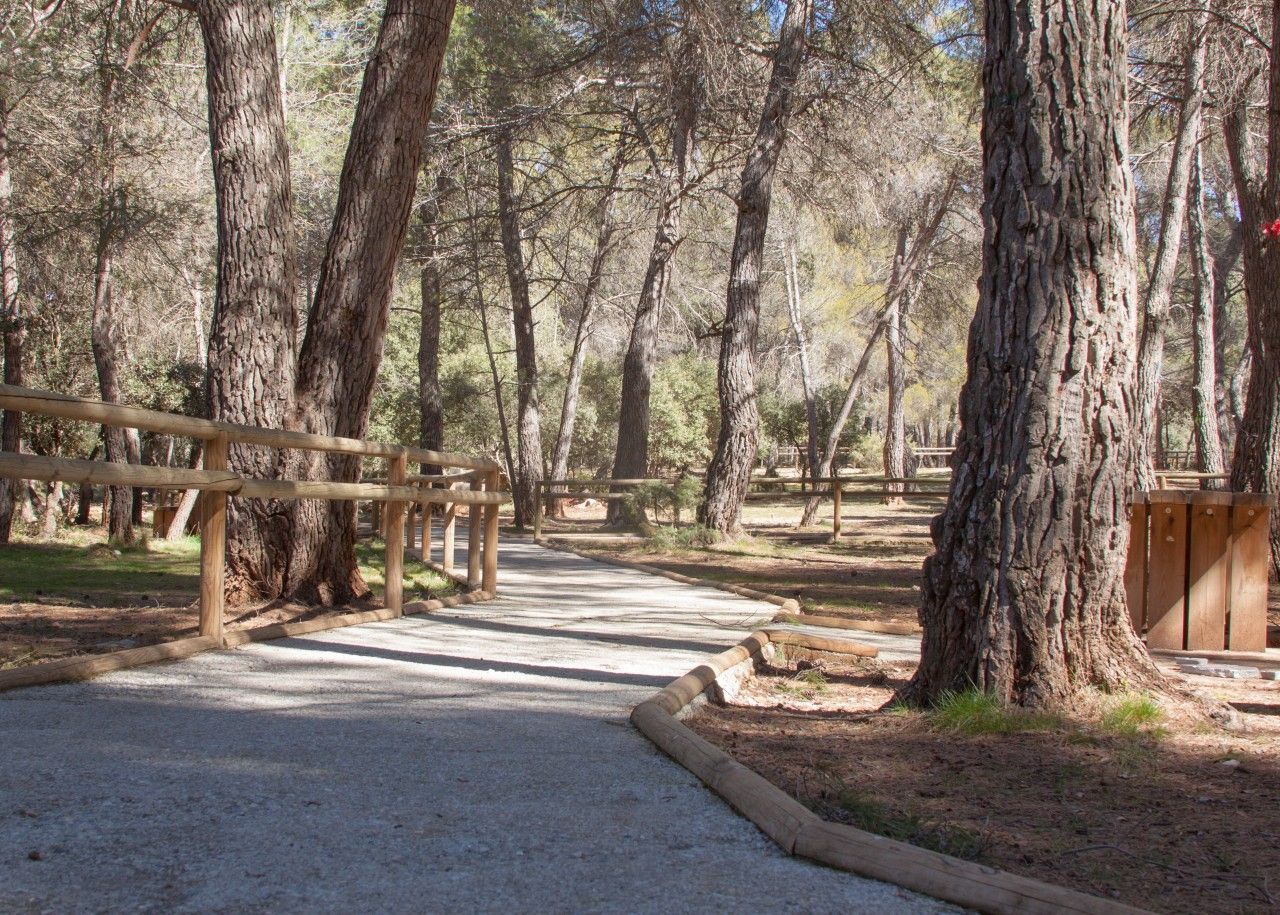 Área Recreativa Hoyo de los Pinos. Espacios Naturales Provincia de Jaén