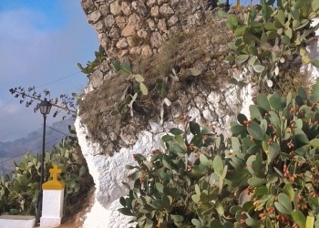 Castillo del Cerro de la Virgen