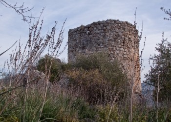 Torre Olvidada