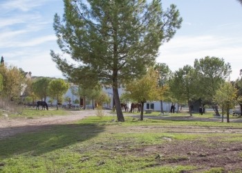 Castillo de Consolación (Castillo de la Espinosa)