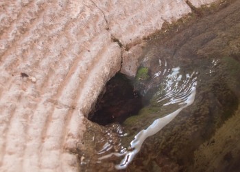 El Chopo municipal public washing area (Huelma)