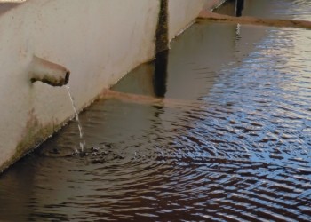 Las Pilas public washing area (Navas de San Juan)