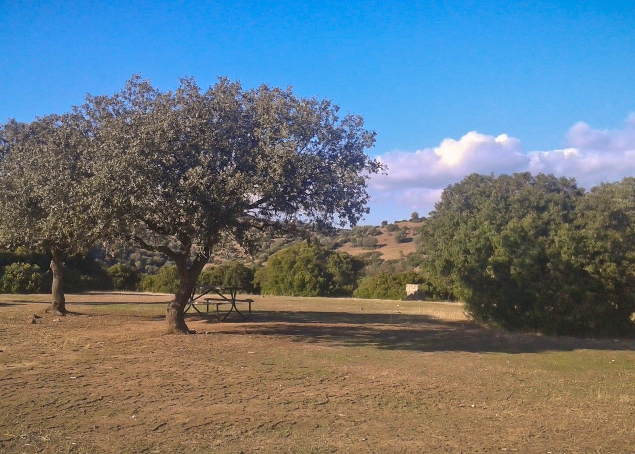 Área Recreativa Las Peralejas