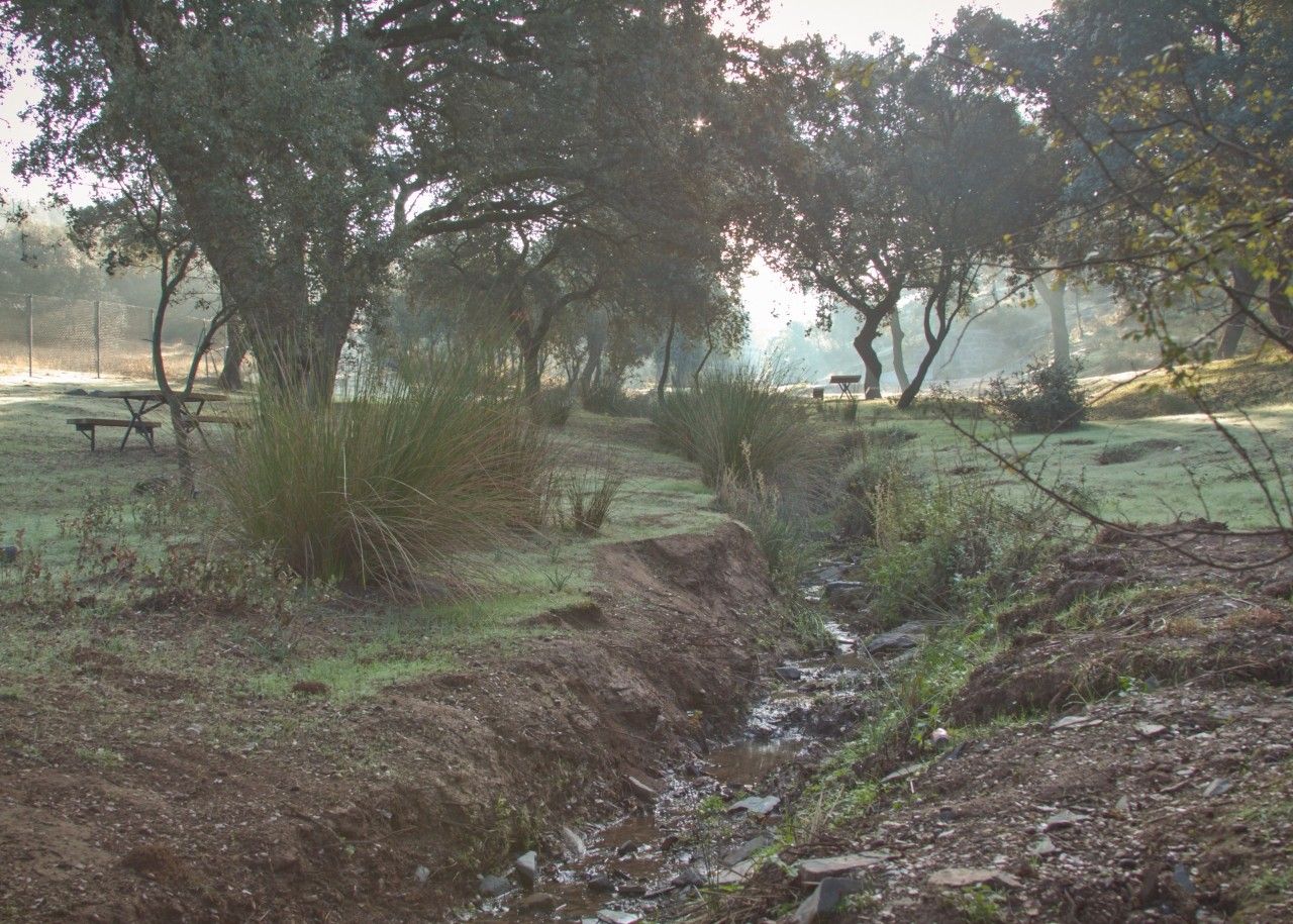 La Zarzuela recreation area