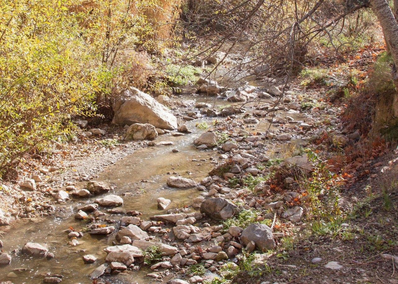 Área Recreativa de Santa Lucía