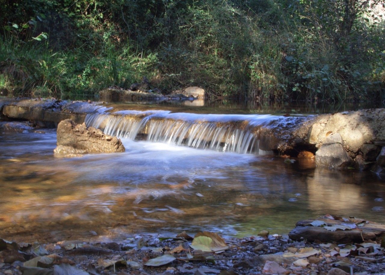 La Aliseda recreation area