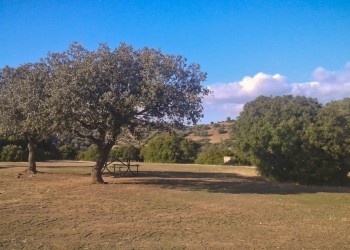 Las Peralejas recreation area. Natural areas of Jaén province
