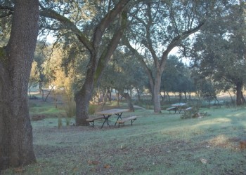 Área Recreativa La Zarzuela