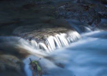 The Cuadros river and its oleander. Recreational area