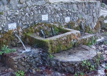 Frío river natural reserve