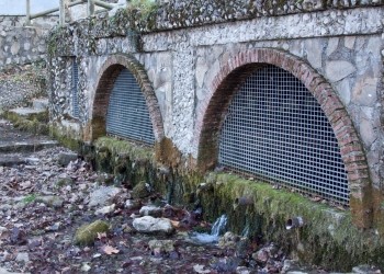 Frío river natural reserve