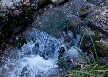 Frío river natural reserve