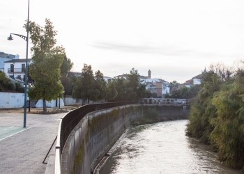 Ribera del Guadalquivir