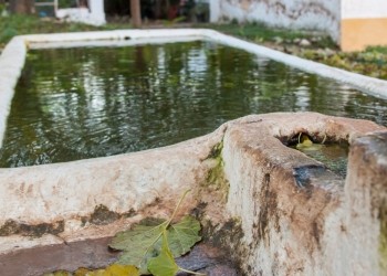 Fuente de Ventarique