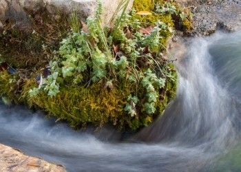 Arbuniel river source