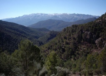 Sierras de Cazorla, Segura y Las Villas Nature Reserve