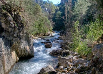 Sierras de Cazorla, Segura y Las Villas Nature Reserve