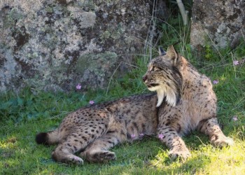 Sierra de Andújar Natural Park 