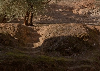 Área Recreativa Fuente Palacios