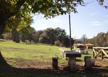 Área Recreativa La Aliseda