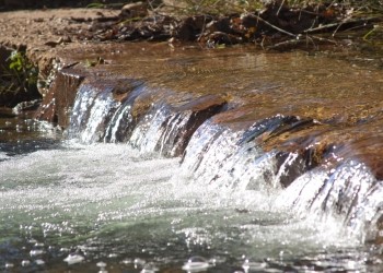 Área Recreativa La Aliseda