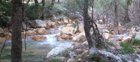 The Guadalquivir's water reserve is below the national average. Natural areas of Jaén province