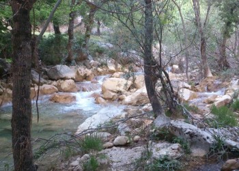 La reserva hídrica del Guadalquivir se encuentra por debajo de la media nacional. Espacios Naturales Provincia de Jaén