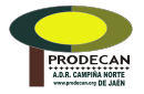 PRODECAN